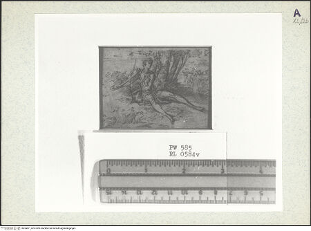 Vorderseite von bh354871_recto