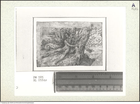 Vorderseite von bh354872_recto