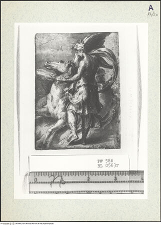 Vorderseite von bh354882_recto