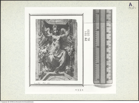 Vorderseite von bh354886_recto