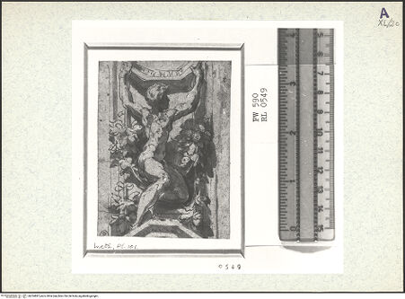 Vorderseite von bh354887_recto