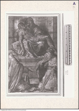 Vorderseite von bh354894_recto