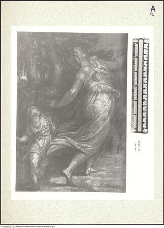 Vorderseite von bh354922_recto