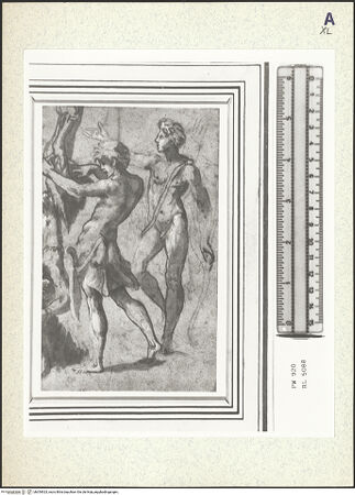 Vorderseite von bh354923_recto