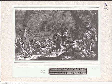 Vorderseite von bh354936_recto