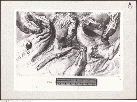 Vorderseite von bh354975_recto