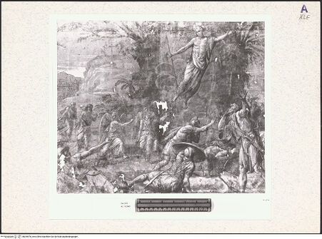 Vorderseite von bh354976_recto