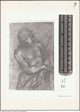 Vorderseite von bh354985_recto