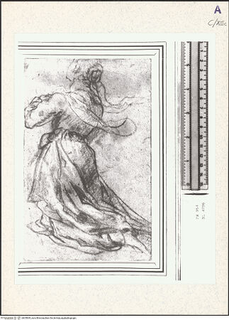 Vorderseite von bh355045_recto