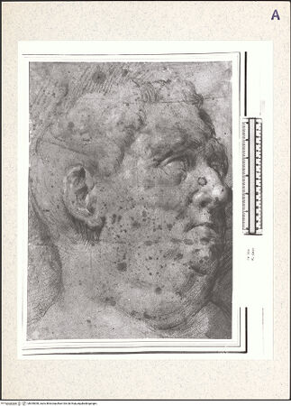 Vorderseite von bh355050_recto