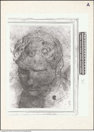 Vorderseite von bh355051_recto