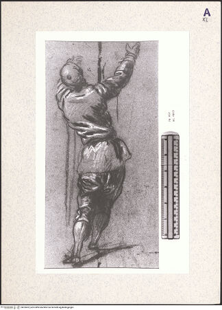 Vorderseite von bh355052_recto