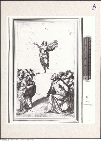 Vorderseite von bh355058_recto