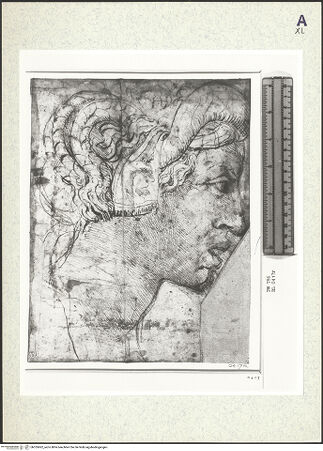 Vorderseite von bh355062_recto