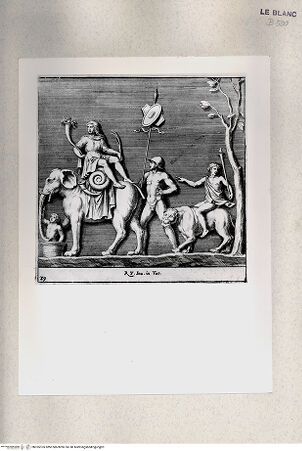 Vorderseite von Istituto Nazionale per la Grafica [http://creativecommons.org/publicdomain/mark/1.0/] "Parerga atqua ornamenta in Vaticani Palatij Xystis"; Stichfolge nach den Stuckarbeiten in den Loggien des VatikanTriumph des Bacchus (Bl 39) - , bh355105. Foto.