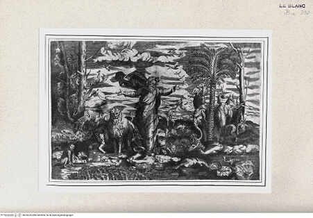 Vorderseite von Istituto Nazionale per la Grafica [http://creativecommons.org/publicdomain/mark/1.0/] Die Erschaffung der Tiere - , bh355189. Foto.