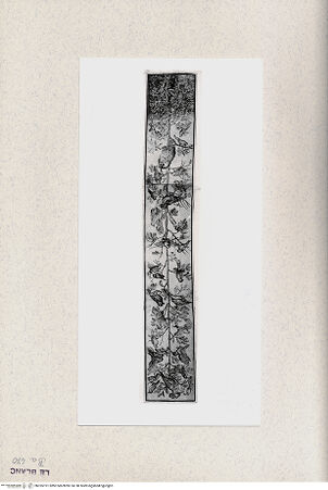 Vorderseite von  [http://creativecommons.org/publicdomain/mark/1.0/] Baum mit Vögeln (Ornament, Loggien des Vatikan) - , bh355191. Foto.