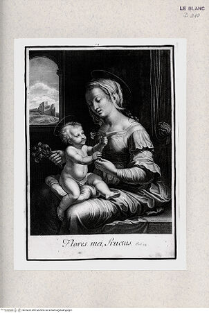 Vorderseite von Istituto Nazionale per la Grafica [http://creativecommons.org/publicdomain/mark/1.0/] "Madonna dei garofani" - , bh355352. Foto.