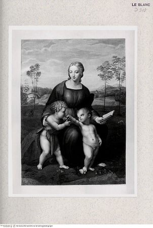 Vorderseite von Istituto Nazionale per la Grafica [http://creativecommons.org/publicdomain/mark/1.0/] "Madonna del cardellino" - , bh355366. Foto.