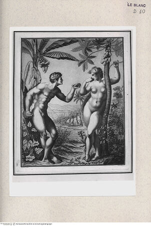 Vorderseite von Istituto Nazionale per la Grafica [http://creativecommons.org/publicdomain/mark/1.0/] Adam und Eva - , bh355434. Foto.