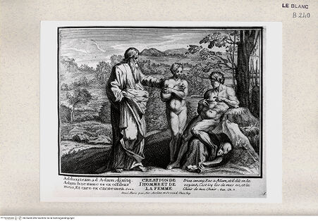 Vorderseite von Istituto Nazionale per la Grafica [http://creativecommons.org/publicdomain/mark/1.0/] Serie von Stichen nach den Loggien des VatikanGott erschafft Adam und Eva (Bl 5) - , bh355490. Foto.