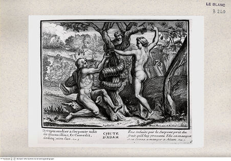 Vorderseite von Istituto Nazionale per la Grafica [http://creativecommons.org/publicdomain/mark/1.0/] Serie von Stichen nach den Loggien des VatikanDer Sündenfall (Bl 6) - , bh355491. Foto.