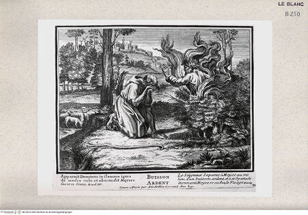 Vorderseite von Istituto Nazionale per la Grafica [http://creativecommons.org/publicdomain/mark/1.0/] Serie von Stichen nach den Loggien des VatikanMoses und der brennende Dornbusch (Bl 30) - , bh355523. Foto.