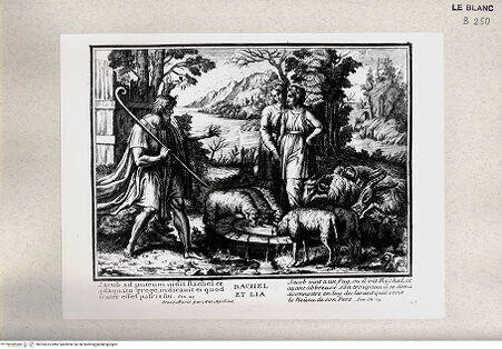 Vorderseite von Istituto Nazionale per la Grafica [http://creativecommons.org/publicdomain/mark/1.0/] Serie von Stichen nach den Loggien des VatikanDie Begegnung von Jakob und Rahel (Bl 22) - , bh355525. Foto.