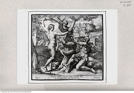 Vorderseite von Istituto Nazionale per la Grafica [http://creativecommons.org/publicdomain/mark/1.0/] Stichserie nach den Fresken der Loggien des VatikanDer Sündenfall (Bl. 6) - , bh355592. Foto.