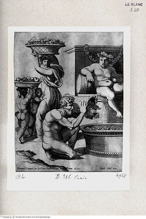 Vorderseite von Istituto Nazionale per la Grafica [http://creativecommons.org/publicdomain/mark/1.0/] Bacchus bei der Weinlese - , bh355644. Foto.