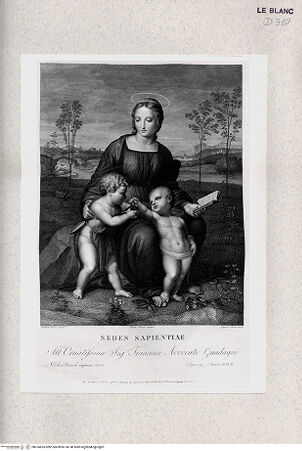 Vorderseite von Istituto Nazionale per la Grafica [http://creativecommons.org/publicdomain/mark/1.0/] "Madonna del cardellino" - , bh355655. Foto.
