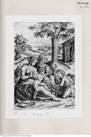 Vorderseite von Istituto Nazionale per la Grafica [http://creativecommons.org/publicdomain/mark/1.0/] "Madonna della palma" - , bh355658. Foto.