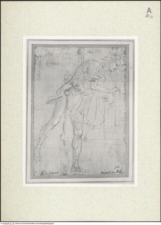 Vorderseite von bh356104_recto