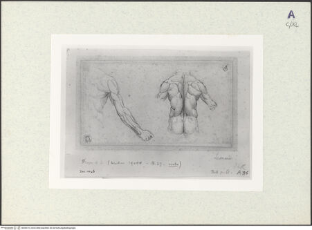 Vorderseite von bh356110_recto