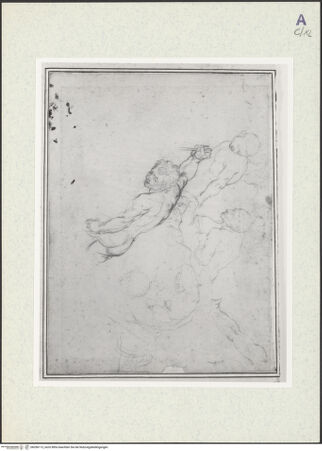 Vorderseite von bh356113_recto