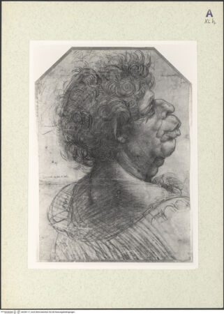 Vorderseite von bh356117_recto