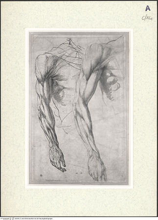 Vorderseite von bh356127_recto