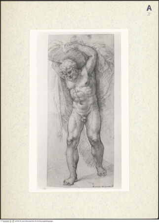 Vorderseite von bh356130_recto