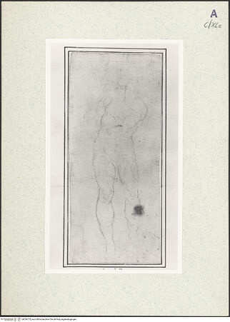 Vorderseite von bh356173_recto