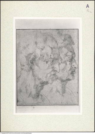 Vorderseite von Christ Church [https://www.deutsche-digitale-bibliothek.de/content/lizenzen/rv-ez/] Zwei Männerköpfe im Profil - , bh356183_recto. Foto.