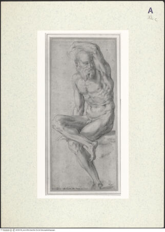 Vorderseite von bh356185_recto