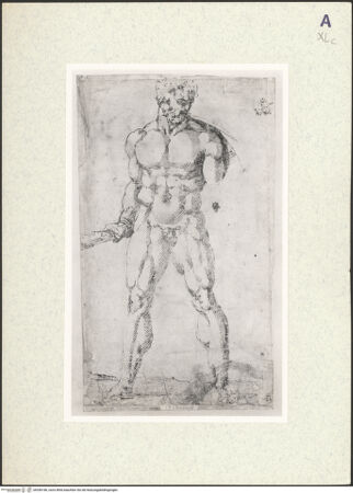 Vorderseite von Christ Church [https://www.deutsche-digitale-bibliothek.de/content/lizenzen/rv-ez/] Studie zum Herkules für die Skulpturengruppe "Herkules und Cacus" (Florenz, Piazza della Signoria) - , bh356186_recto. Foto.