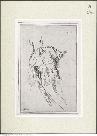 Vorderseite von bh356190_recto