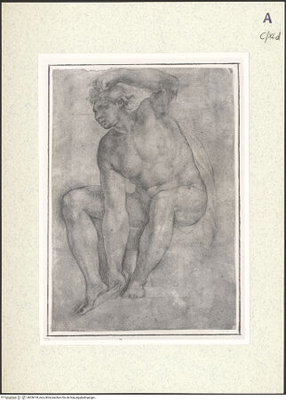 Vorderseite von bh356194_recto