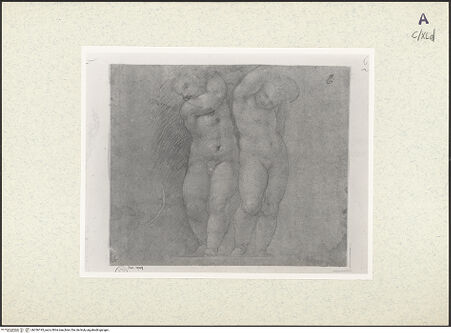 Vorderseite von bh356195_recto