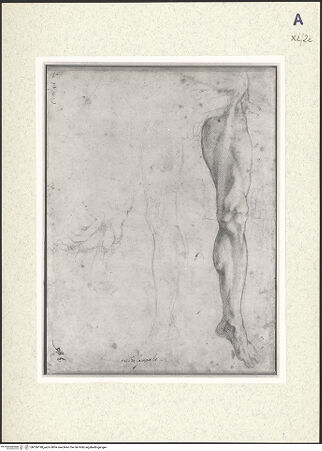 Vorderseite von bh356198_recto