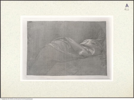 Vorderseite von bh356202_recto