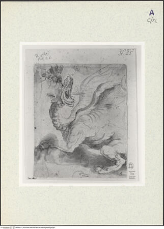 Vorderseite von bh356211_recto