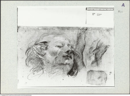 Vorderseite von bh356796_recto