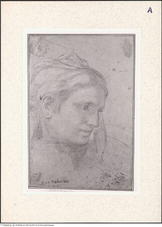 Vorderseite von bh356844_recto